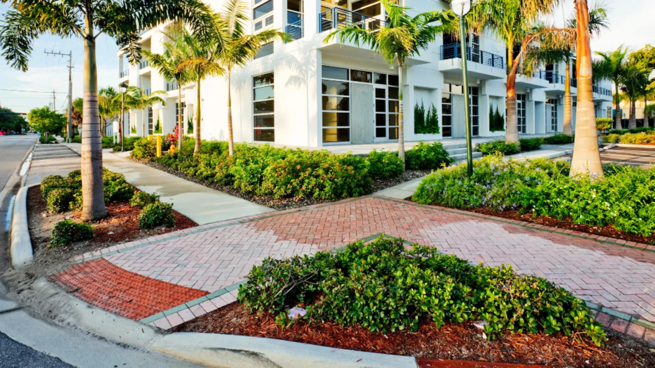 Custom landscaping for San Diego commercial properties